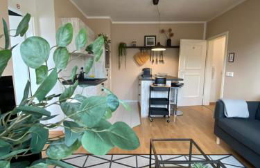 K2-Project - Gipfelstürmer - Über den Dächern von Schloßchemnitz - Foto 2