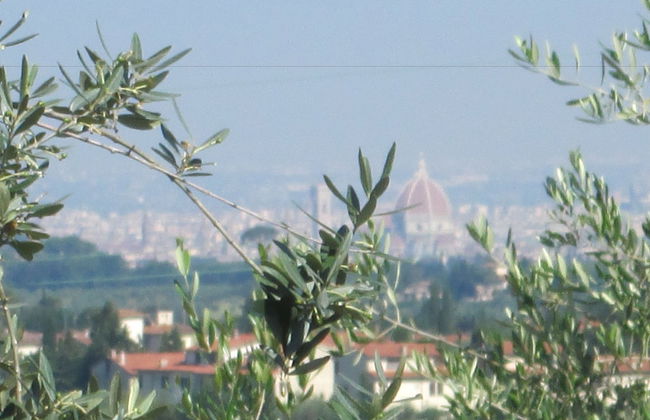 Agriturismo Il Colle - Foto 28