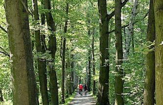 Suite im Limonadenhaus - adults only - Foto 28