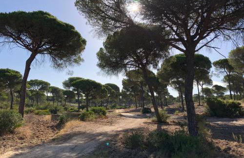 Holiday house with private pool, Costa de la Luz - Foto 62