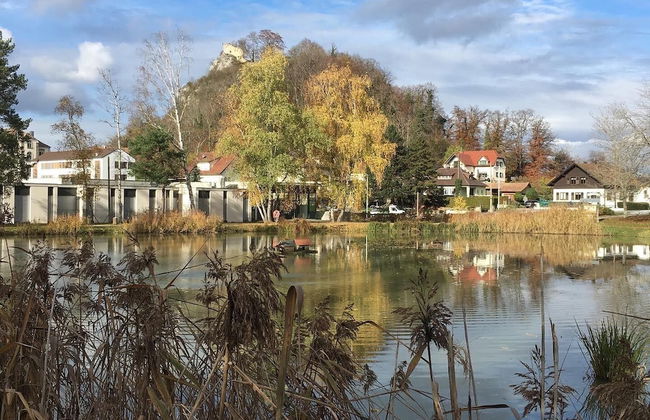La Maison des Fontaines D'alsace - Photo 42