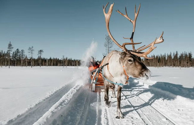 Reindeer Sleigh Ride - Photo 1