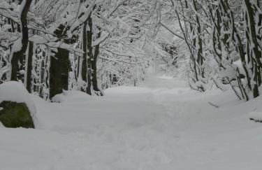 AH Large apartment 1 a 7 pers 3 stars WiFi - Foto 6