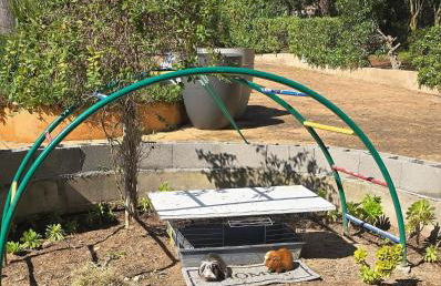 Casa Alegria - Photo 41