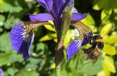 The Annexe at Fishponds - Photo 30