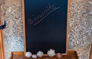 Alda Fogar Natural - Photo 36