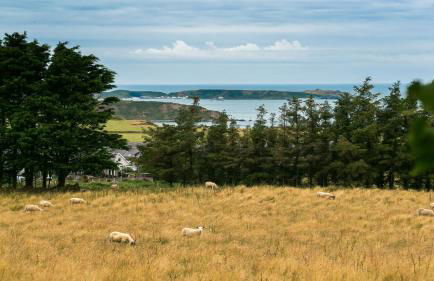 Ty Gan y Mor - Foto 75