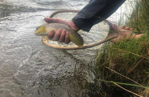 Secluded Modern Cabin On 10 Acres Tarryall Creek - Foto 11