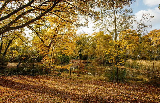 Breathtaking Elizabethan Manor House - Foto 22