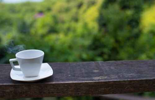 Vista espetacular, no meio da mata, com conforto - Foto 47