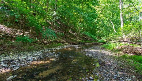 Cozy cabin w hot tub, deck & BBQ - Photo 5