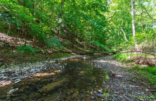 Cozy cabin w hot tub, deck & BBQ - Foto 5