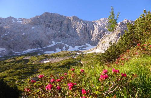 Hörnlestubn - Foto 35