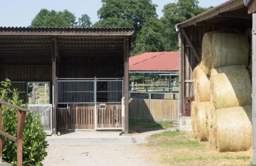 Ferienhaus mit Garten, Eschede - Foto 44