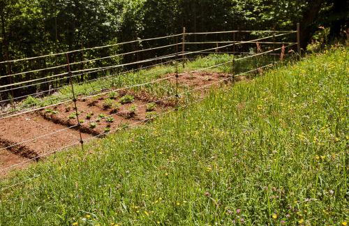 La perla nella foresta - Photo 13