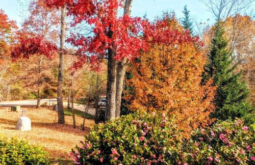 Solar powered log cabin with mountain views, 3acres - Foto 36