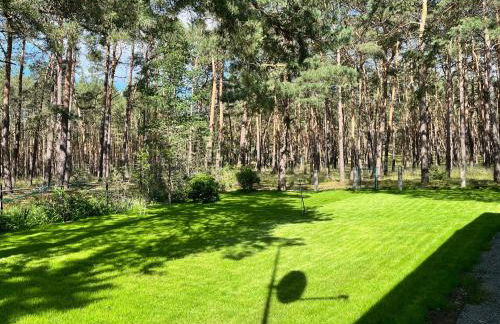 Ferienhaus im Wald, am Briesener See - Foto 30