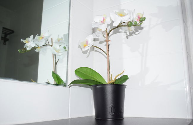 Penthouse 1-bed Apartment With Amazing Views - Foto 16