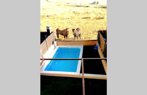 La espiga de la Mata - Foto 21