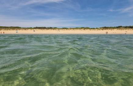 L'écurie & Le Chai - Gîtes de charme entre plage et cœur de village - Foto 23