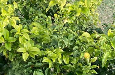 Open Sweet House - Foto 30