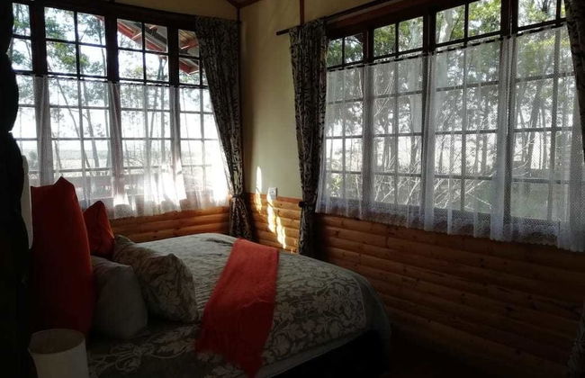 Woodland Gardens - Photo 11