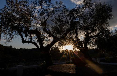 A Casa da Ti Vina - Foto 54