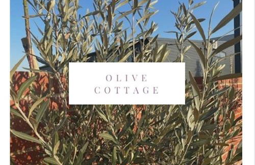 Withers Farm Apartments - Photo 12