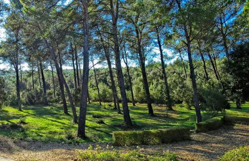 Le Clos de Bagalance - Photo 21