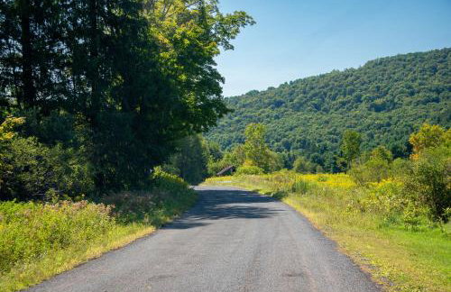 Chambers Hollow - Foto 18