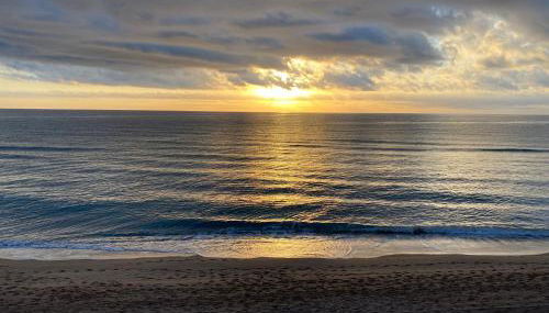 Caballito de Mar - Foto 2