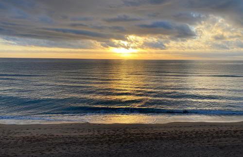 Caballito de Mar - Foto 2