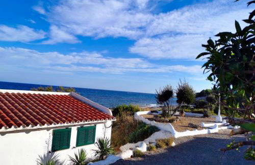 La Perla De la Ostra - Foto 7