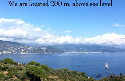 Agriturismo Terre Rosse Portofino - Foto 13