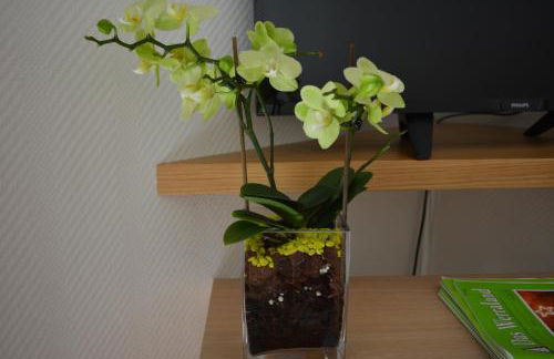 Villa Bellevue - Foto 23