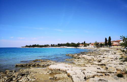 Apartment Nobilis - Photo 26