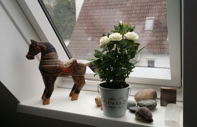 Hus Mattgoot - Foto 24