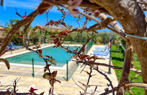 Cas Munji - BBQ, piscina y terraza - Foto 61