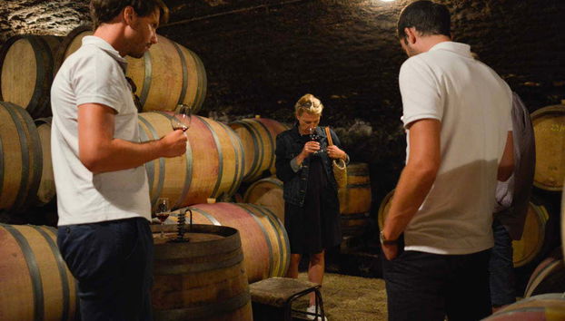 Catando los vinos de Borgoña