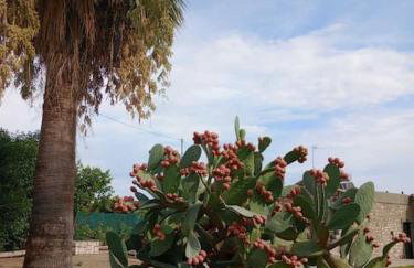 Ktimaoliva1 - Foto 30