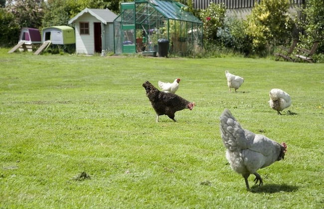 Padley Farm - Foto 70