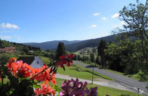 Appartement Confortable avec Accès Facile, Proche Ski et Randonnée - FR-1-589-137 - Foto 5