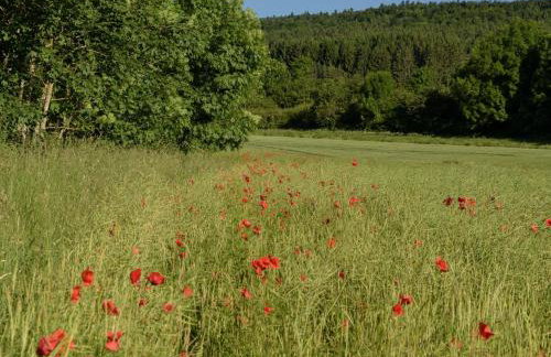 63qm im Eschachtal - Foto 8