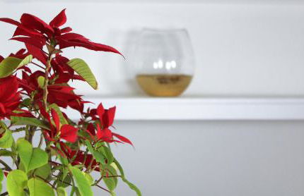 West Hill Apartment - Foto 19