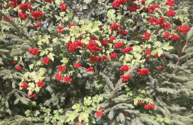 Mala Chatka - Photo 52