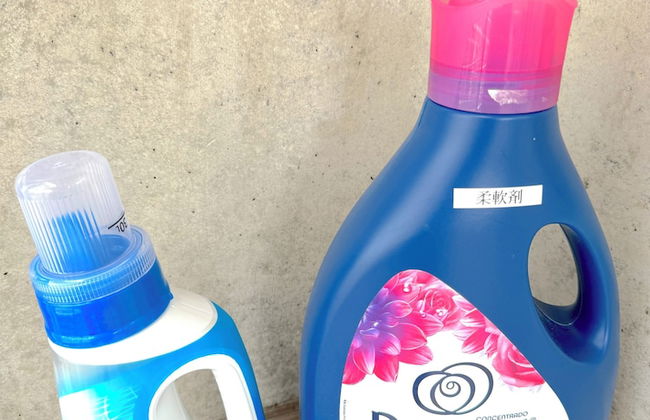 ANGO ISHIGAKIJIMA1 - Foto 9