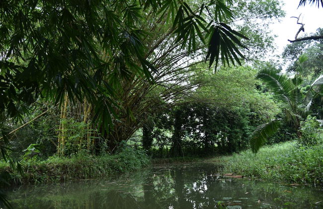 The Country House - Foto 29