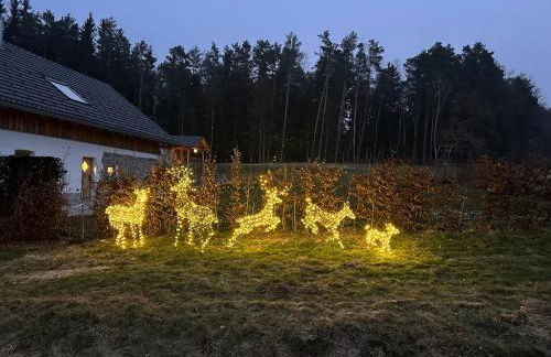 Ferienchalet Sophie - Foto 35