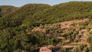 Agriturismo Casa Augusta - Foto 4