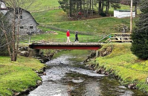 Airstream at a Petting Zoo w/ Hot Tub - Foto 44